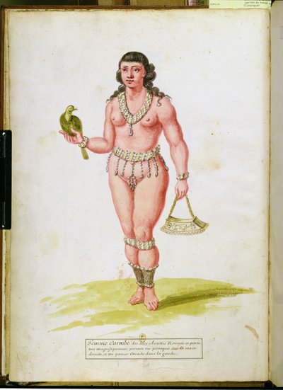 Nativo dei Caraibi con un pappagallo, da un manoscritto sulle piante e la civiltà nelle Antille, c.1686 da Charles Plumier